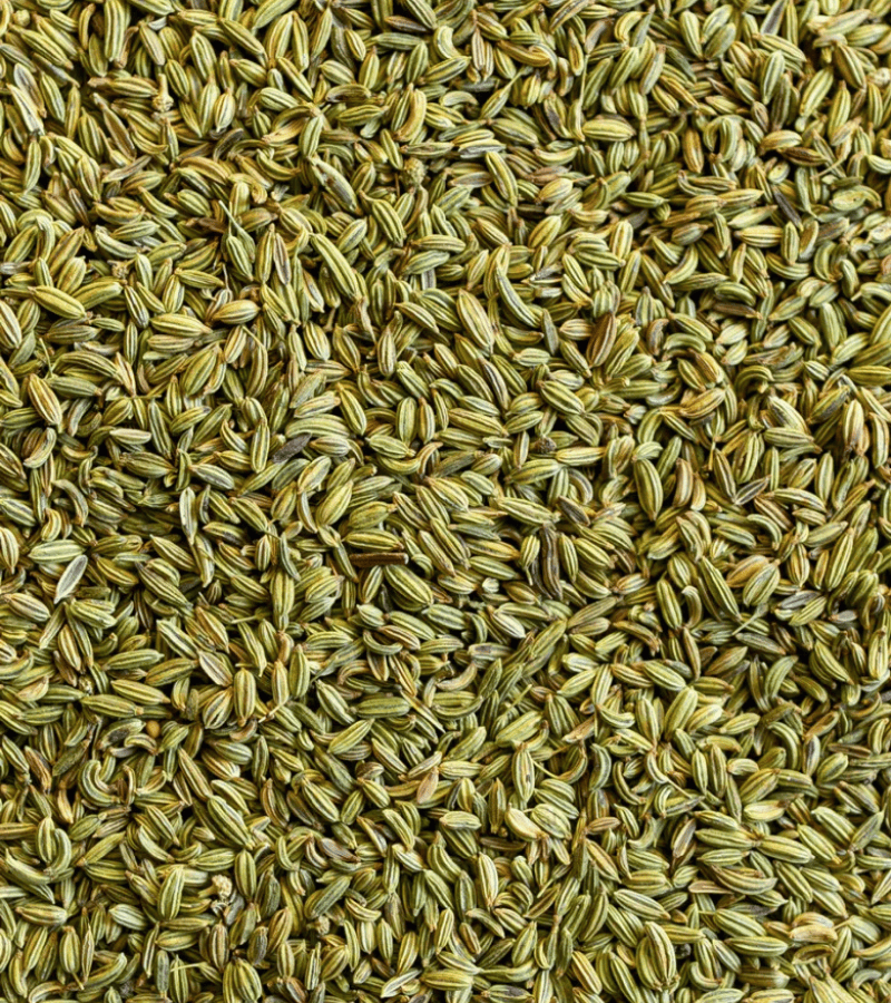 sutariya agriimpex